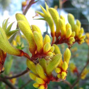 Spring news thumbnail